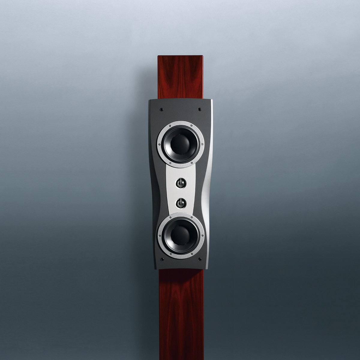 DYNAUDIO C2 17 スピーカー￼ DYNAUDIO C2 17 スピーカー￼ DYNAUDIO C2 17 Speakers Black